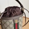 Luxury GG Handbag 838462 BC