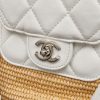 Luxury CN Handbag 2660-002 BC