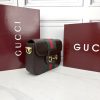 Luxury GG Handbag 866762 BC