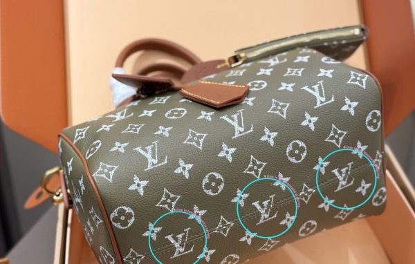 LV Speedy P9 Bandoulière 25 Handbag LV267301 QA