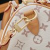 LV Speedy Soft 30 Monogram Dune Lucky Bag