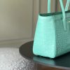CN Small Shopping Bag Crocodile Embossed Mint Green Bag BC CN Small Shopping Bag Crocodile Embossed Mint Green Bag BC