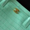 CN Small Shopping Bag Crocodile Embossed Mint Green Bag BC CN Small Shopping Bag Crocodile Embossed Mint Green Bag BC