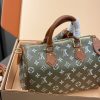 LV Speedy P9 Bandoulière 25 Handbag LV267301 QA