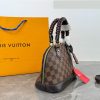 Daily Street Style LV Handbag DLV3 QA