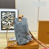 Daily Street Style LV Handbag DLV5 QA
