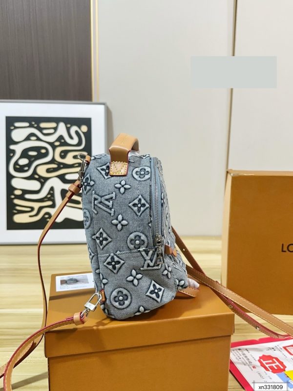 Daily Street Style LV Handbag DLV5 QA
