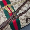 Luxury GG Handbag 875811 BC