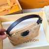 LV Pochette Hills Monogram Suede Bag C2301650