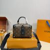 LV Petite Malle Souple Bag C2301650