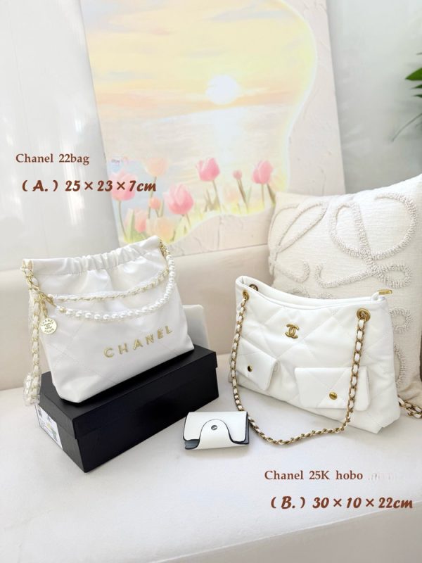 CN 25K Hobo Set Bag C2301450