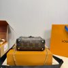LV Petite Malle Souple Bag C2301650