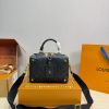 LV Petite Malle Souple Bag C2301650