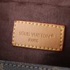 LV Pochette Camille Monogram Bag M13566 BC