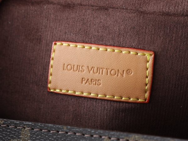 LV Pochette Camille Monogram Bag M13566 BC