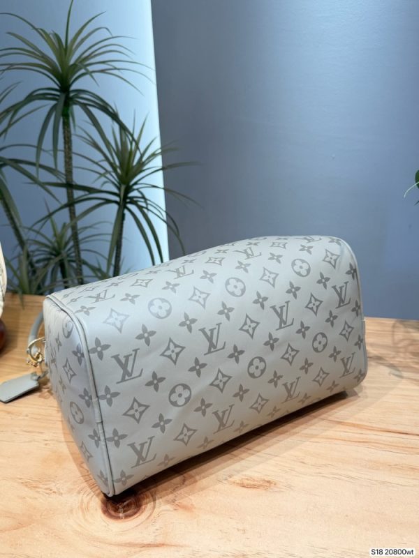 LV Speedy Bandoulière 30 Grey Bag C2301250