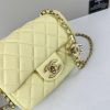 Luxury CN Handbag 105 BC