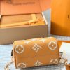 LV Speedy Bandoulière 20 Bag C2301750