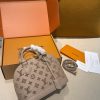 LV Alma BB Bag C2301850
